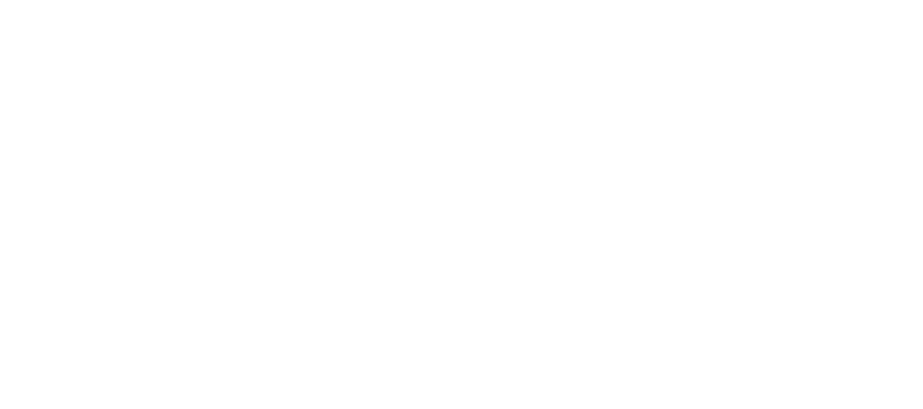 Ninja DEV